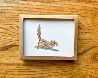 Chipmunk Art Card Set, Watercolor Stationery Gift Box