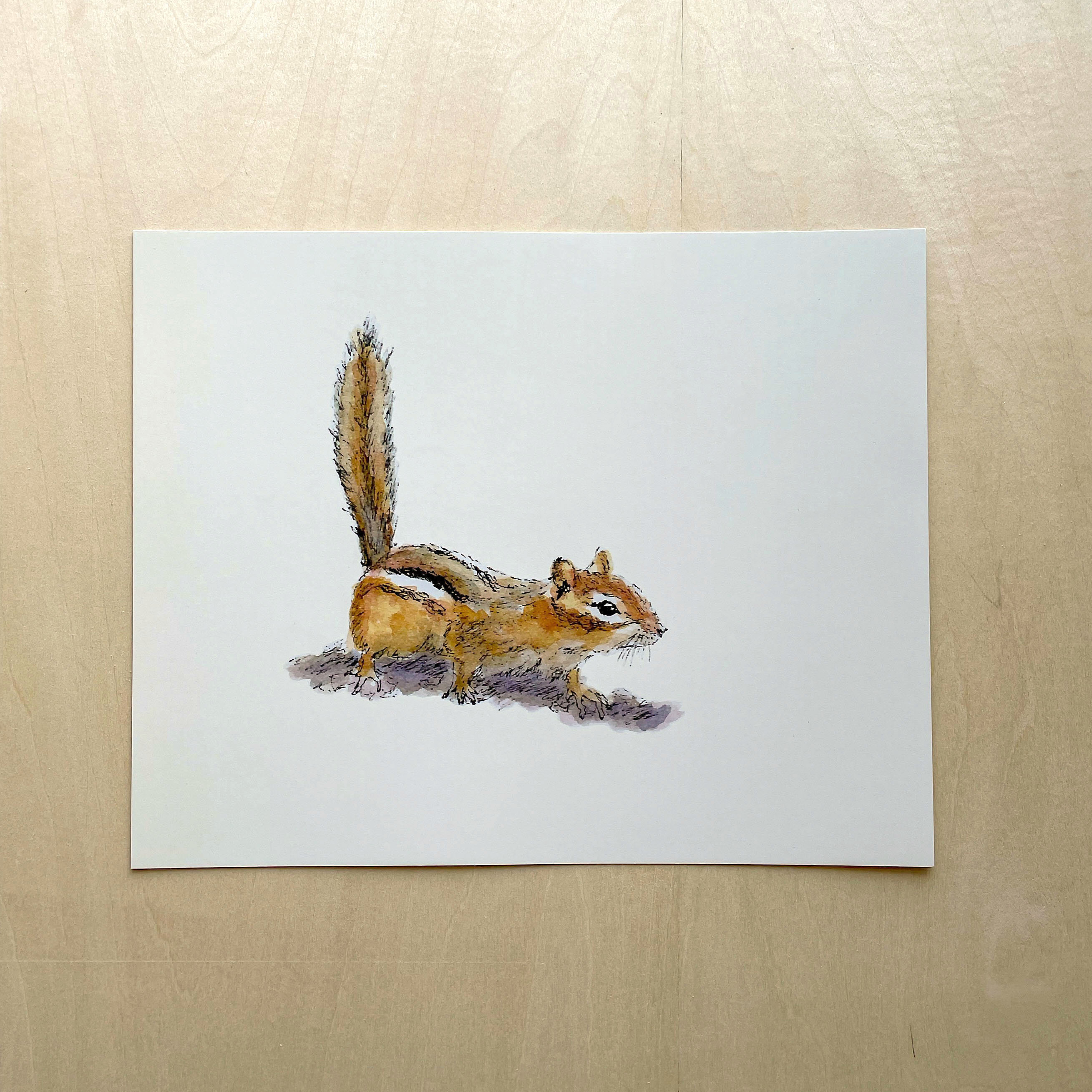 Curious Chipmunk 8x10 Unframed Art Print Animal Drawing, Home Wall ...