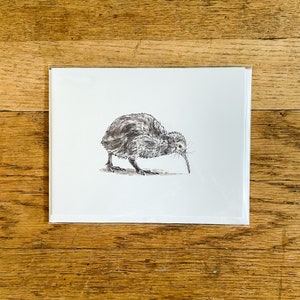Kiwi Bird Card, white background, kiwi bird art stationery