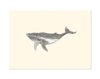 Humpback Whale, art gift print 5x7 Animal Watercolor Illustration, home wall decor