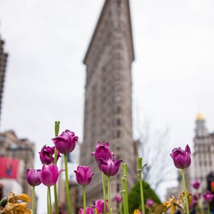 Flatiron, Frühling, Tulpen, New York City, Fotografie, Einweihungsparty, Geschenk, gerahmt Druck, NYC, Home Decor, Wandkunst, Fine Art Fotografie