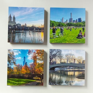 Mixtiles, 4 Seasons in Central Park, photography, wall art, photo set, Central Park, Four Seasons, Manhattan, New York City, set of 4, NYC
