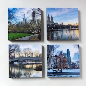 Central Park, New York City, Mixtiles, photography prints, wall art, New York, wall decor, photography, housewarming gift, set of 4, NYC