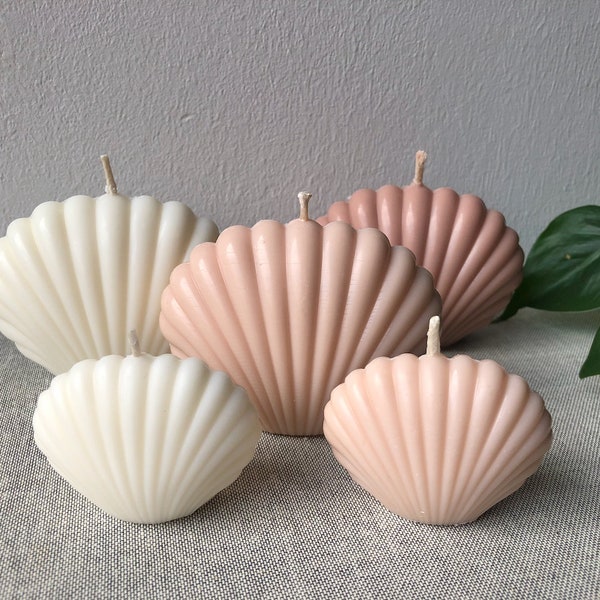 Shell Candle, Muschelkerze, Rapswachskerze