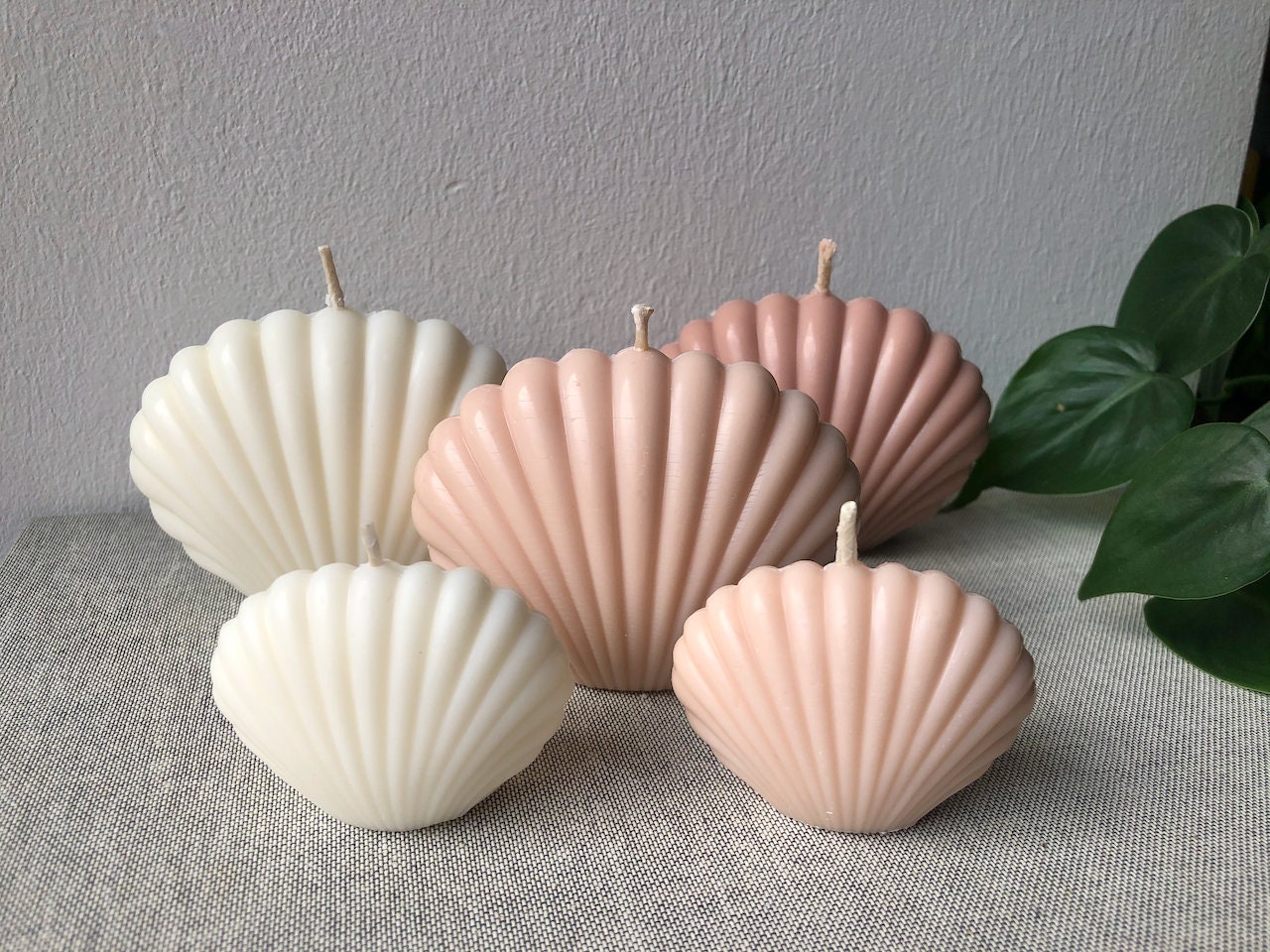 Candle Shell, Bougie de Coquillage, Cire Colza