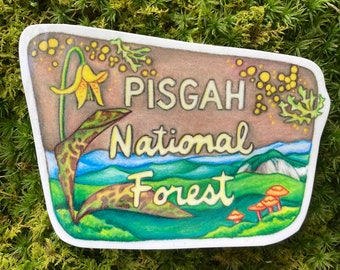 May include: A sticker with a brown, green, and blue illustration of a mountain landscape. The text "PISGAH National Forest" is written in white cursive lettering on the sticker.