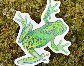 Tree Frog sticker