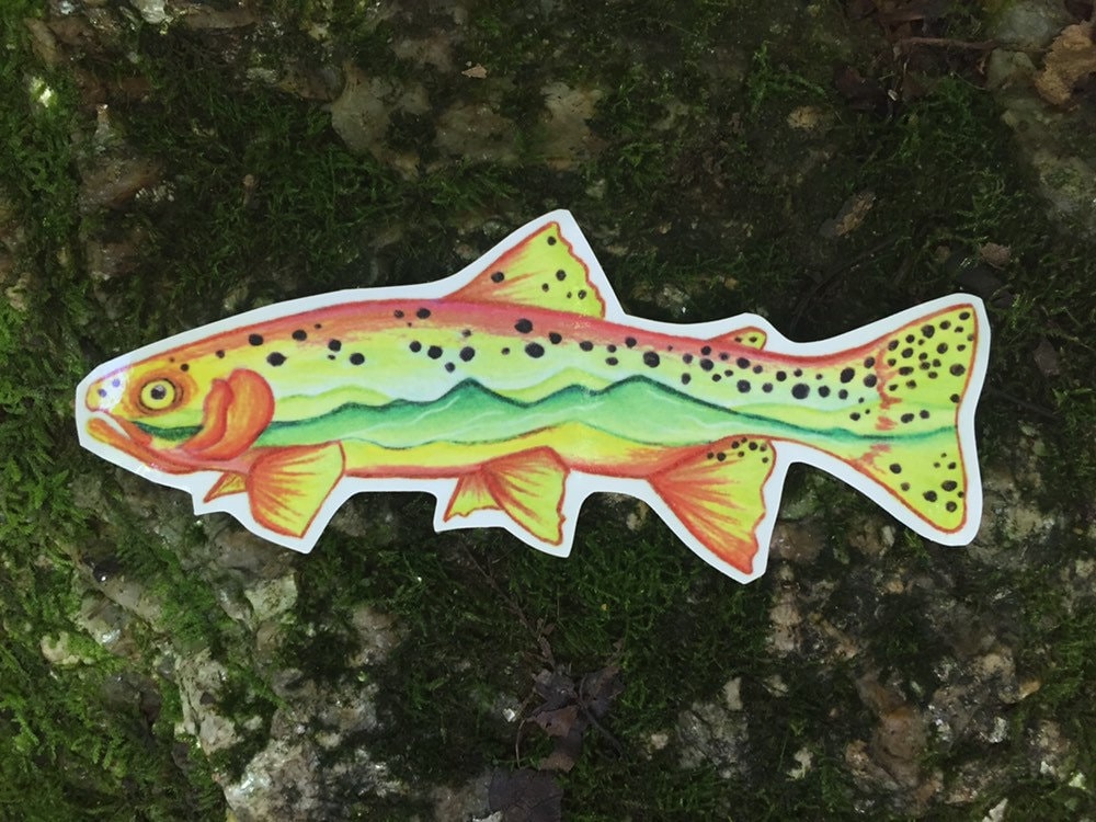 Trout decal sticker Etsy