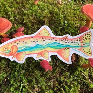 Brown Trout sticker