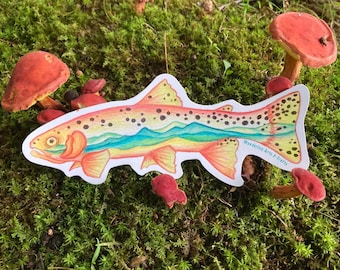 Brown Trout sticker