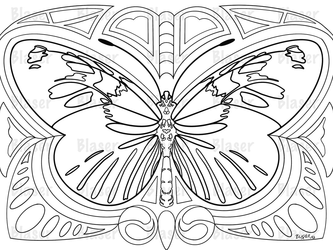 Coloring Page, Butterfly, Printable, Symmetrical, Coloring, Digital, Download, Adults, Kids ...