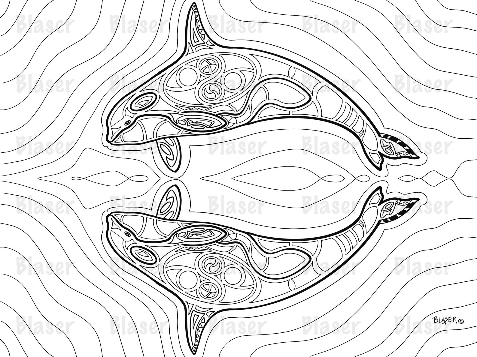 Coloring Page, Killer Whale, Printable, Symmetrical, Coloring, Digital ...