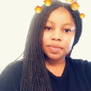 Braided Wig Twist with lace front. 26 inches