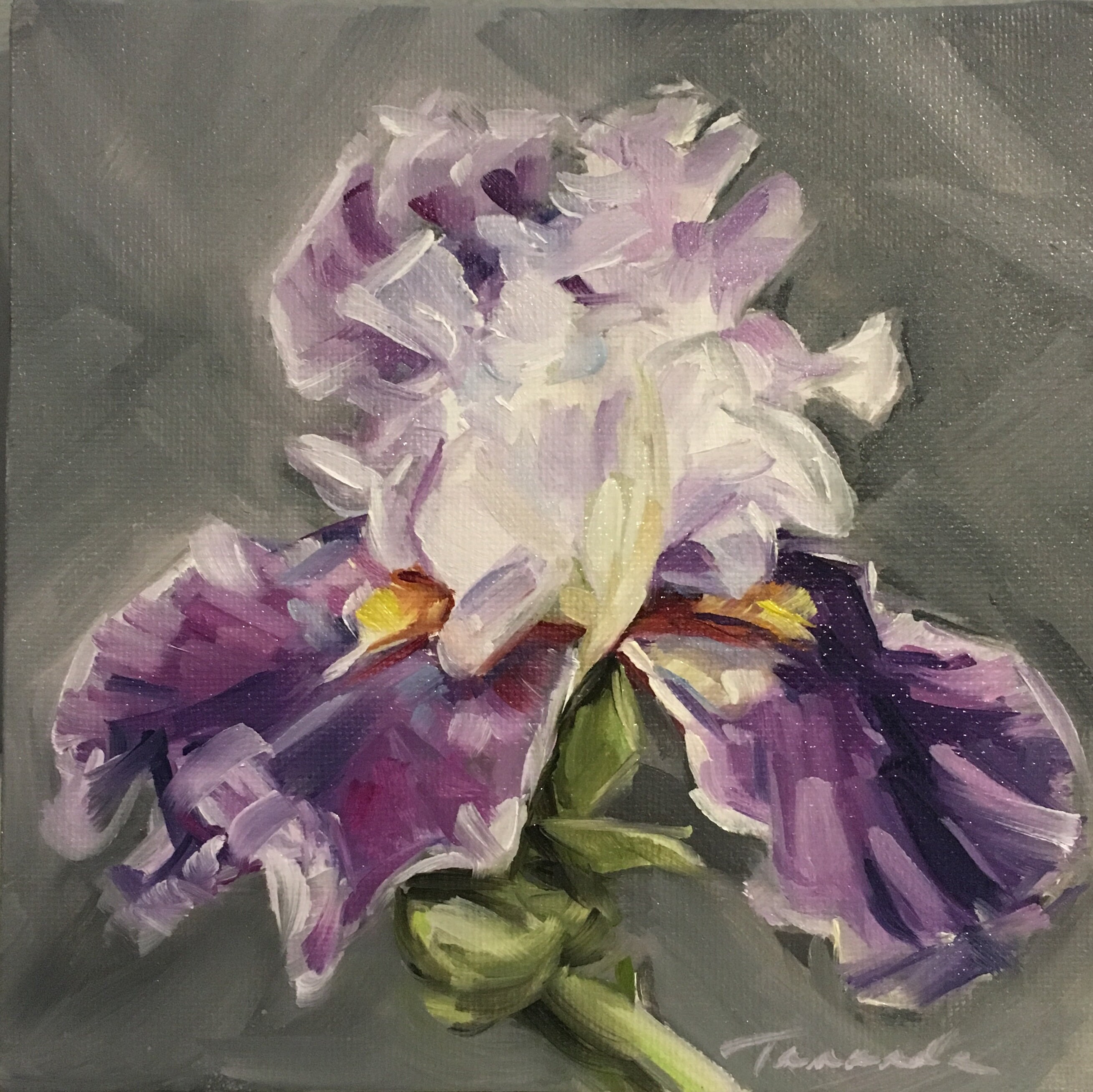 Floral Oil Painting/ Irises / Still Life Oil Painting/ Small | Etsy