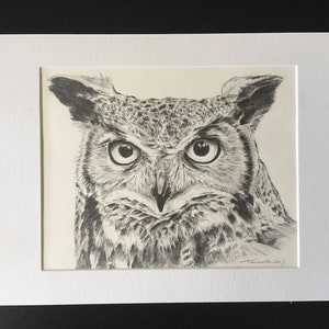 Ostrich Bird Africa Nature Wildlife Graphite Pencil Art Sketch Drawing Print Picture Limited Edition ~ 'i'll Fly Tomorrow' By David Allen
