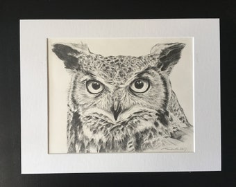 Graphitzeichnung / 13 "x 10" / Graphitzeichnung / Bleistiftzeichnung / Eule / Original Zeichnung / "Eule"