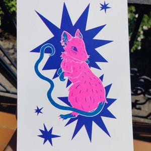 Riso ratto rosa e blu A5