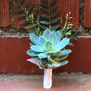 Succulent Boutonniere Succulent Wedding Succulent Bouquet Wedding Personals Succulent Groomsman image 1