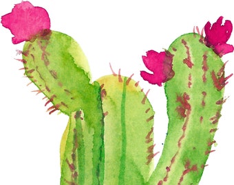 Succulent Watercolor Clipart - Cactus Clip Art - Colorful Succulent PNG File