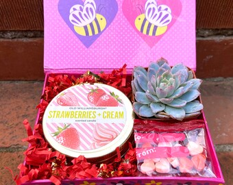 Succulent Gift Box - Succulent and Candle Set - Prom - Appreciation -Be Mine - Love - Girlfriend