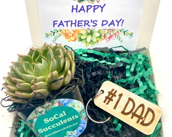 Father’s Day gift box - Succulent gift set - #1 Dad Keychain - Stepdad - Foster Dad