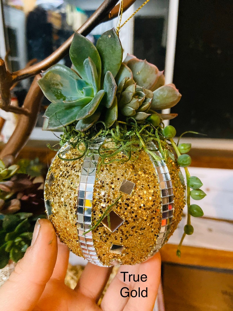 Succulent Christmas Ornament Cactus Ornament Holiday Etsy