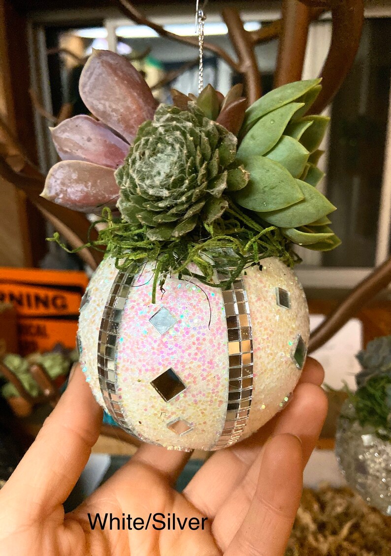 Succulent Christmas Ornament Cactus Ornament Holiday Etsy