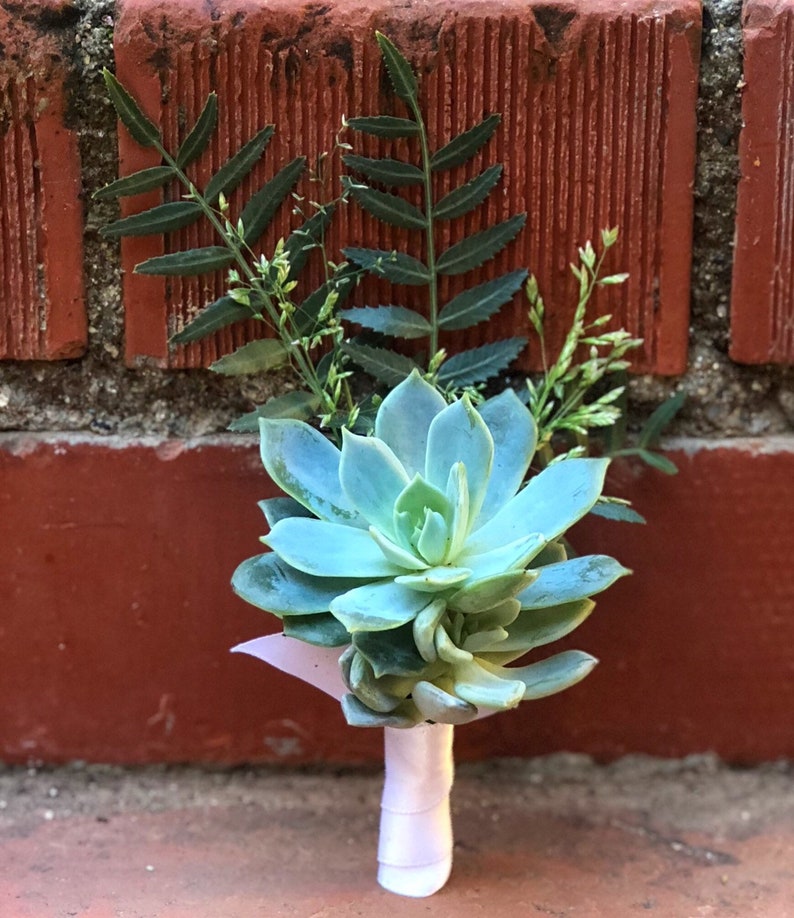 Succulent Boutonniere Succulent Wedding Succulent Bouquet Wedding Personals Succulent Groomsman image 1