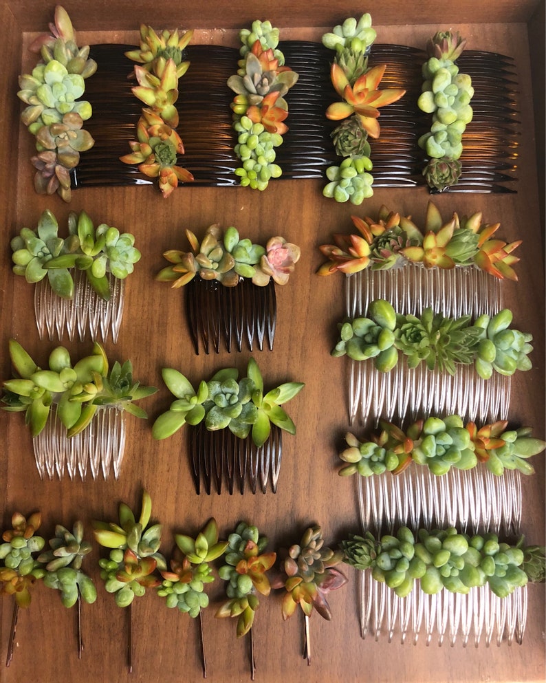 Wedding Accessories Live Succulent Comb Wedding Jewelry Succulent Jewelry image 4