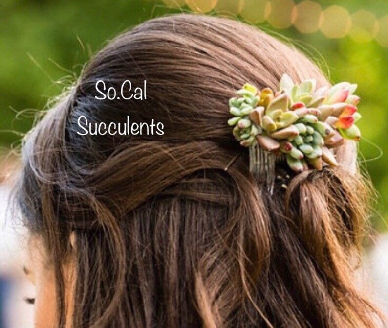 Wedding Accessories Live Succulent Comb Wedding Jewelry Succulent Jewelry image 5