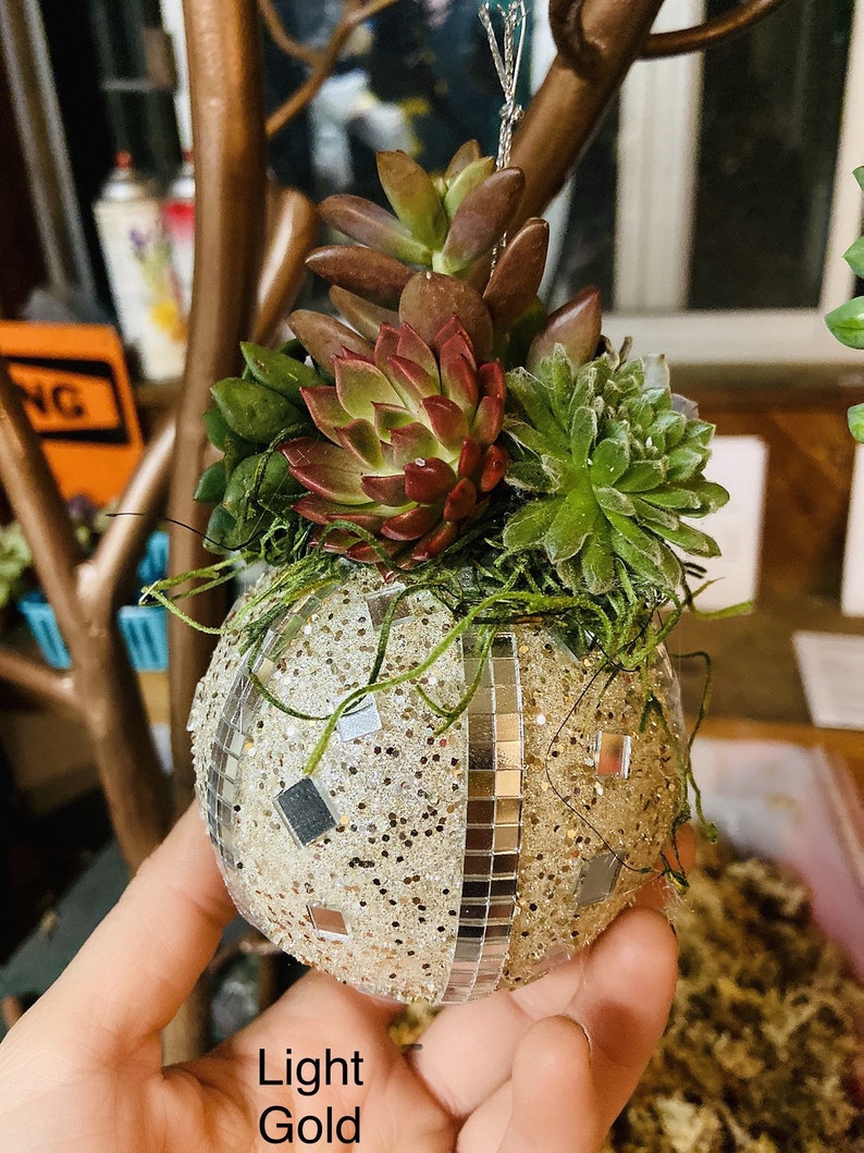 Succulent Christmas Ornament Cactus Ornament Holiday Etsy