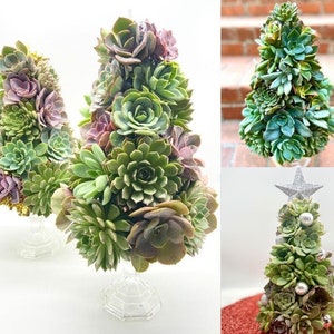 Succulent Christmas Tree 10 Tall Live Succulent Tree Mini Trees Christmas Decor Succulent Arrangements image 1