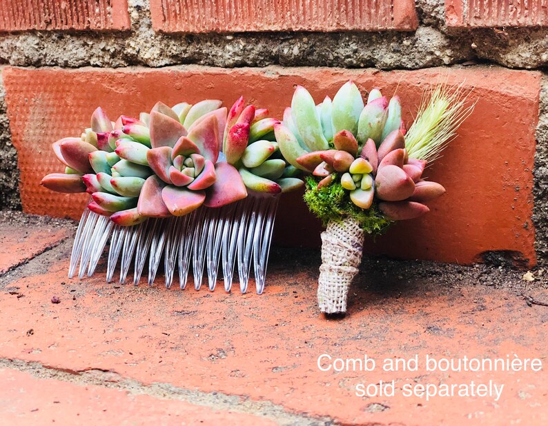 Succulent Boutonniere Succulent Wedding Succulent Bouquet Wedding Personals Succulent Groomsman image 7