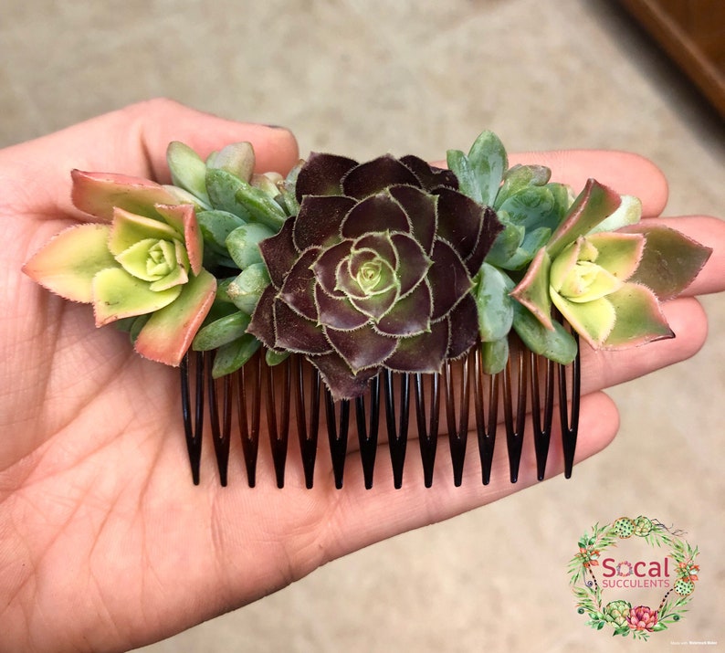 Wedding Accessories Live Succulent Comb Wedding Jewelry Succulent Jewelry image 3