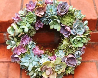 Succulent Wreath with Live Succulents - Spring Decor - Colorful Succulents - 8” Frame