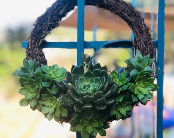 Succulent Wreath - Live Succulents -  Vintage and Rustic Home Decor - Housewarming Gifts -