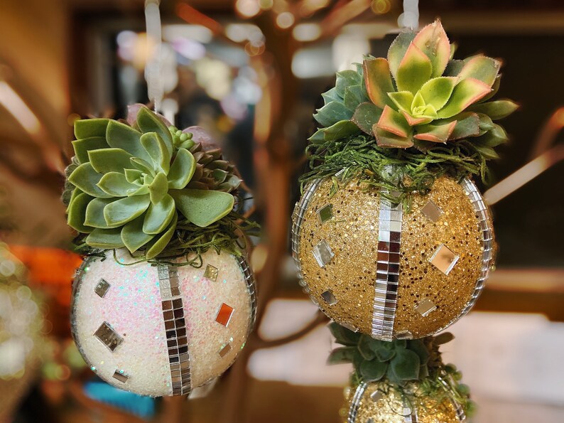 Succulent Christmas Ornament Cactus Ornament Holiday Etsy