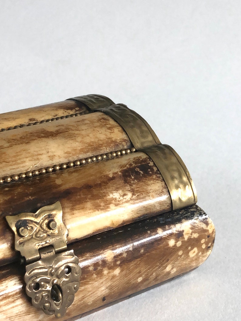 Bone and Brass Trinket Box Etsy