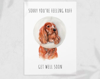 Feeling Ruff, Get Well Soon - Dog Greeting Card - Cocker Spaniel