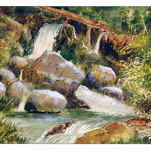 Six Forest Scenes - 6 Art Cards featuring paintings by Anthony Coulson