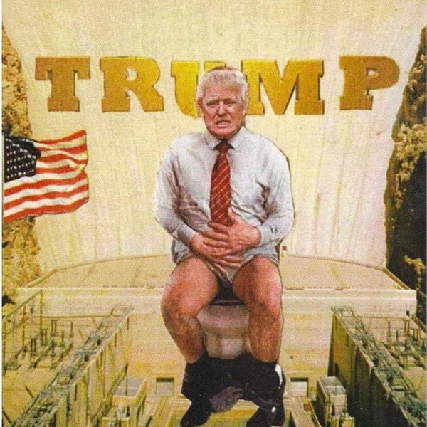 Trump's Throne ~ postcard