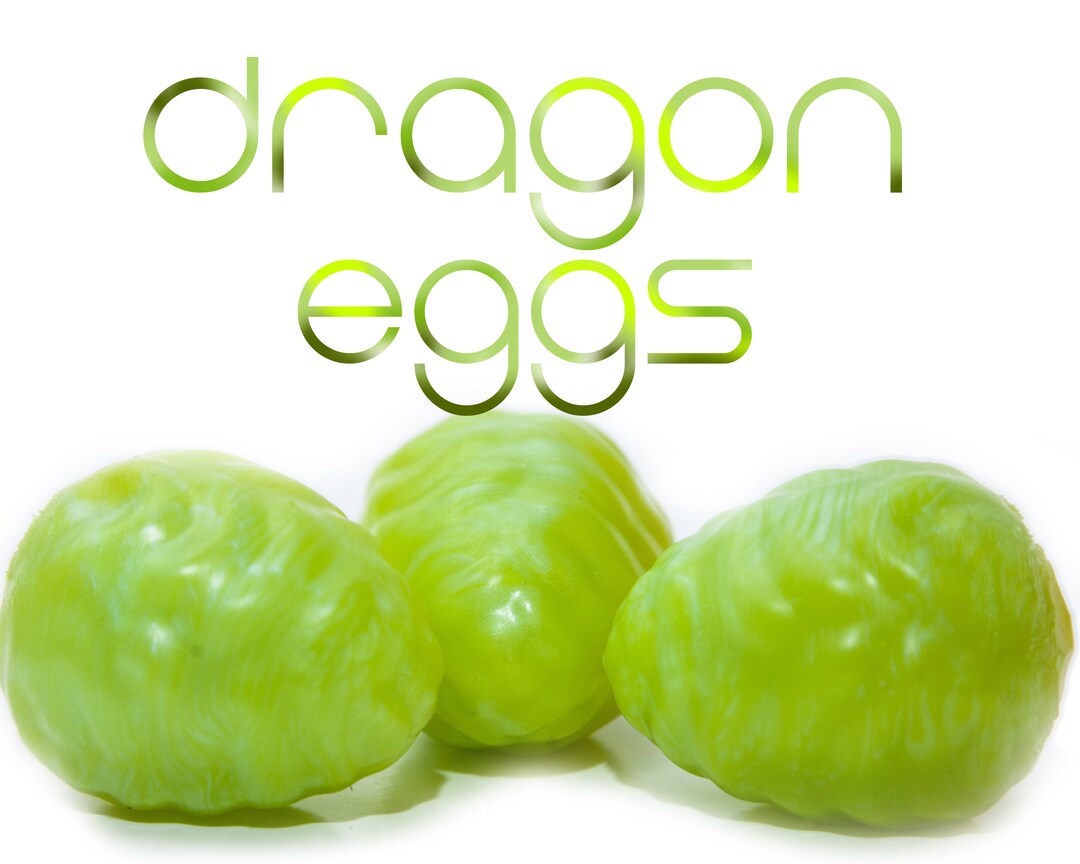 Kegel Eggs Dragon Eggs set of 3 Kegels Silicone Eggs Silicone Egg Toy
