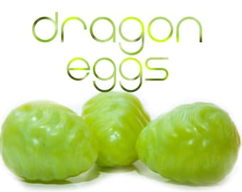 Oeufs de Kegel - Oeufs de dragon (lot de 3) - Kegels - Oeufs en silicone - Jouet d'oeuf en silicone - Ovipositeur - Oeuf en silicone