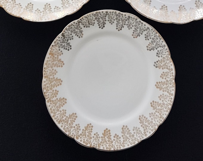 Dessert Plates, CT Altwasser Germany, Set of 6, Vintage Porcelain with Gold Floral Overlay, 6 Inch, Made in Germany, 1875-1935