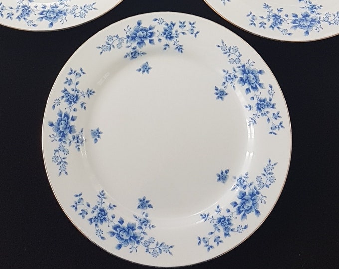 6pc Vintage Porcelain Blue Rose Salad Plates Set - Floral Pattern China Garden Dinnerware (Prestige)