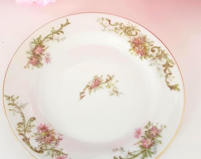 Vintage Limoges Porcelain Salad Plates Set - 7.5 inch Floral Pattern 4-Piece Set
