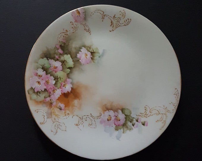 Antique Limoges Porcelain Salad Plate, Bernardaud Limoges, B&Co France, Hand Painted, Decorative Wall Plate, early 1900s