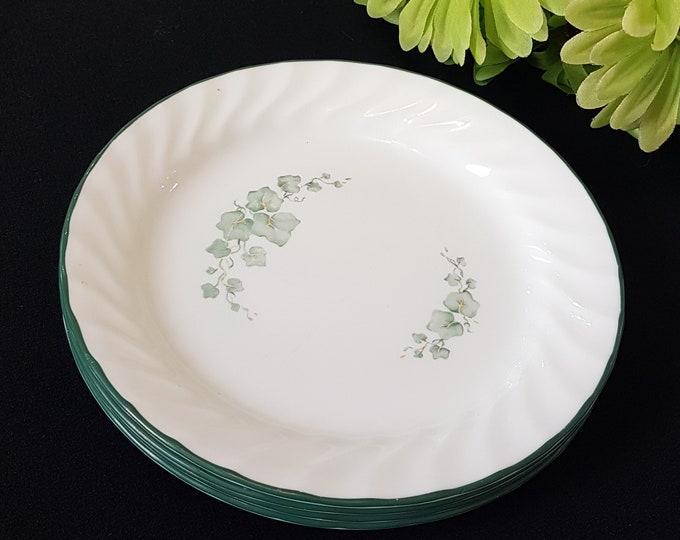 Corelle by Corning CALLAWAY Salad Plates, 7.25 Inch, Set of 4, Green Ivy, White Swirl Rim, Green Edge