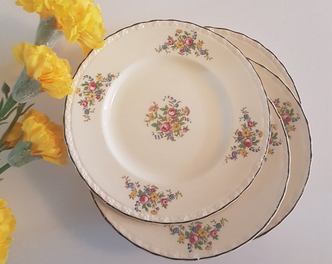 Vintage Myott Staffordshire Side Plate Set of 6, Myott 3201, Floral Bouquet, Hand Painted Black Trim, Made in England, circa 1930s