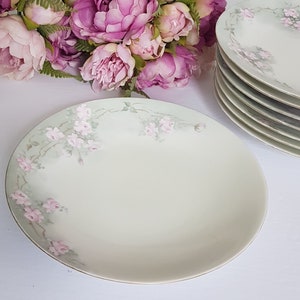 Vintage T&V Limoges Hand-Painted Porcelain Dinner Plates: Pink Roses on Pastel Green